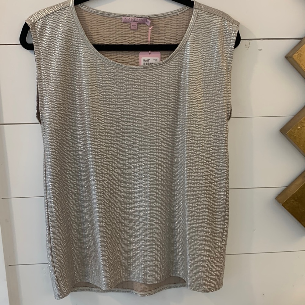 Calypso St Barth platinum silver metallic top XXS but roomy enough for XS or S.